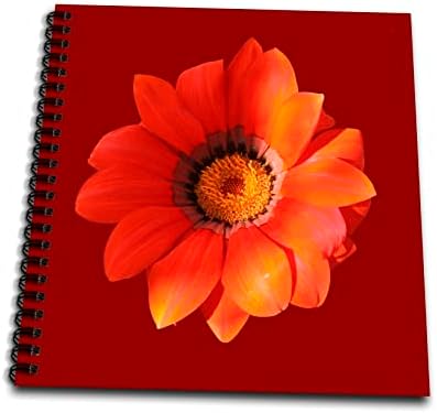 3dRose Narancs Gazania Virág Vektor Art Ki - Rajz Könyvek (db-370949-2)