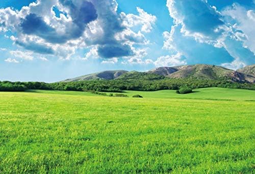 OERJU 10x8ft Zöld Rét Fotózás Háttér Természeti Táj Tavaszi Zöld Füvet, a Földet a Hegyek Kék Ég, Fehér Felhők Mezőgazdasági