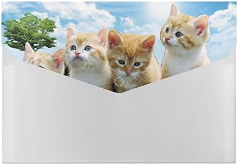 A nap, mind a Macskák Műanyag Színes Mappákat 6 Rekesz Műanyag Harmonika Dokumentum Szervező Nagy Kapacitás