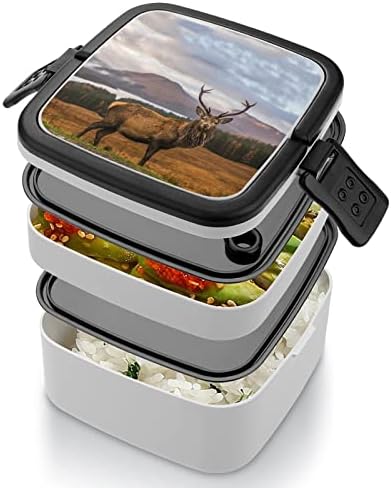 Skót Dollár Ebédet Hordozható Double-Layer Bento Box Nagy Kapacitású Ebéd Tartály Élelmiszer-Tartály Kanál