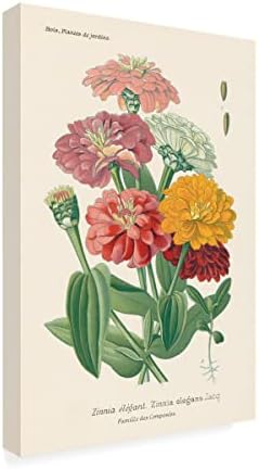 Védjegy képzőművészeti 'Antik Botanikai XLI Fény' Vászon Művészet által Vad Alma Portfólió 16x24